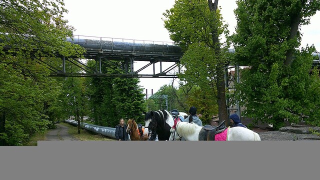 Парк Юность в Калининграде